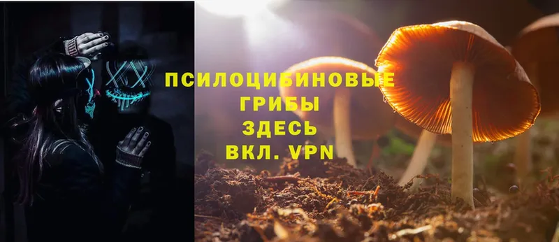 Галлюциногенные грибы Cubensis  где можно купить   Советский 